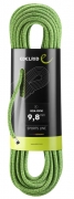 Edelrid Boa Gym 9.8mm Kletterseil Einfachseil