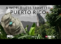 Klettern in Puerto Rico: Erfahrungen auf Sketchy Slabs und Monster Rock